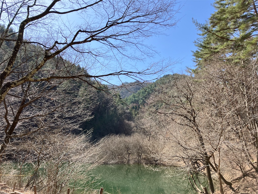 f:id:amefuri5kumanoko:20230314232425j:image