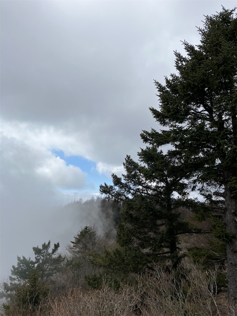 f:id:amefuri5kumanoko:20230323005844j:image f:id:amefuri5kumanoko:20230323005844j:image