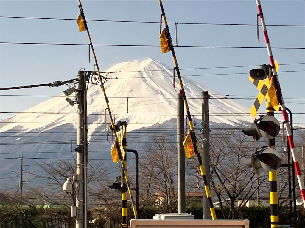 f:id:amefuri5kumanoko:20230323005854j:image f:id:amefuri5kumanoko:20230323005854j:image