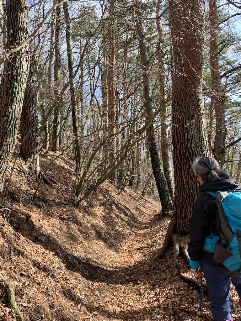 f:id:amefuri5kumanoko:20230323005857j:image f:id:amefuri5kumanoko:20230323005857j:image