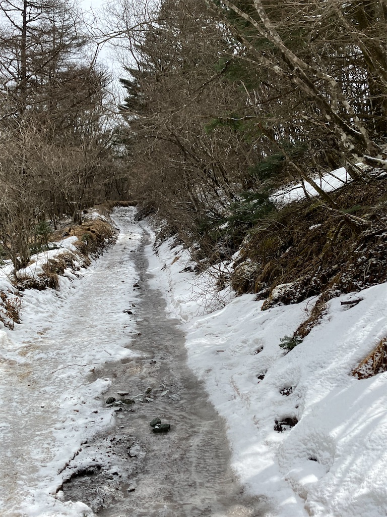 f:id:amefuri5kumanoko:20230323005924j:image f:id:amefuri5kumanoko:20230323005924j:image