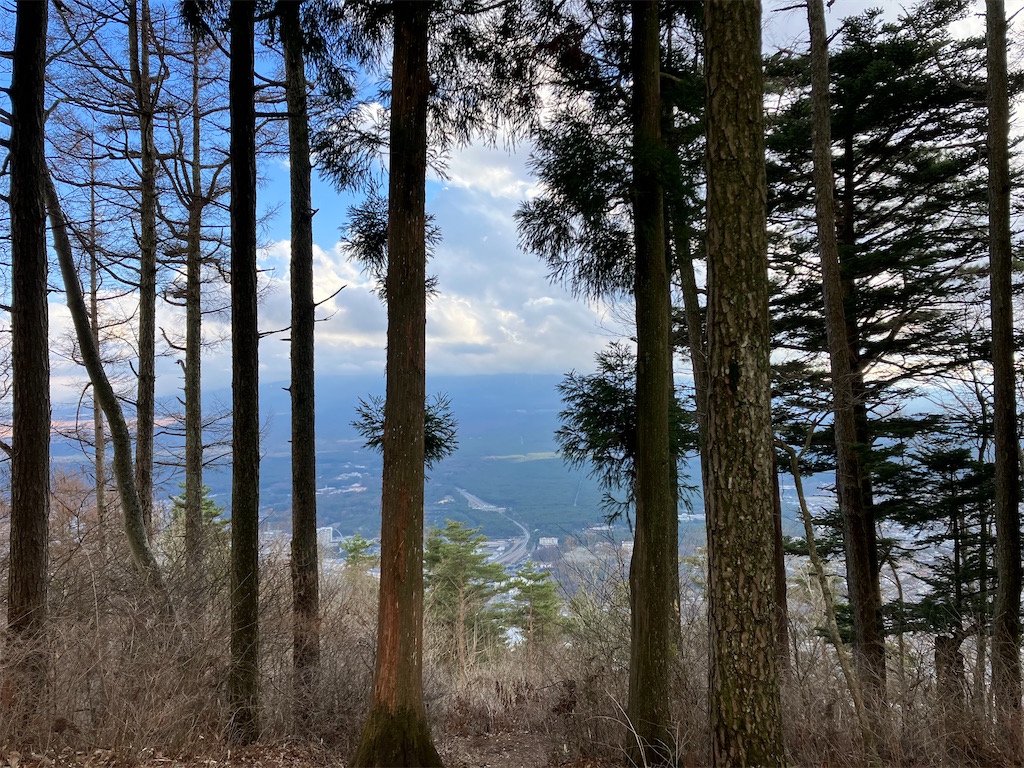 f:id:amefuri5kumanoko:20230323005931j:image f:id:amefuri5kumanoko:20230323005931j:image