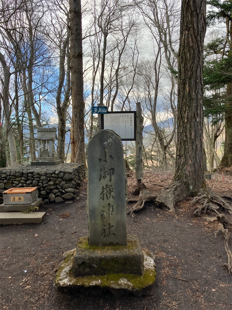 f:id:amefuri5kumanoko:20230323005937j:image f:id:amefuri5kumanoko:20230323005937j:image