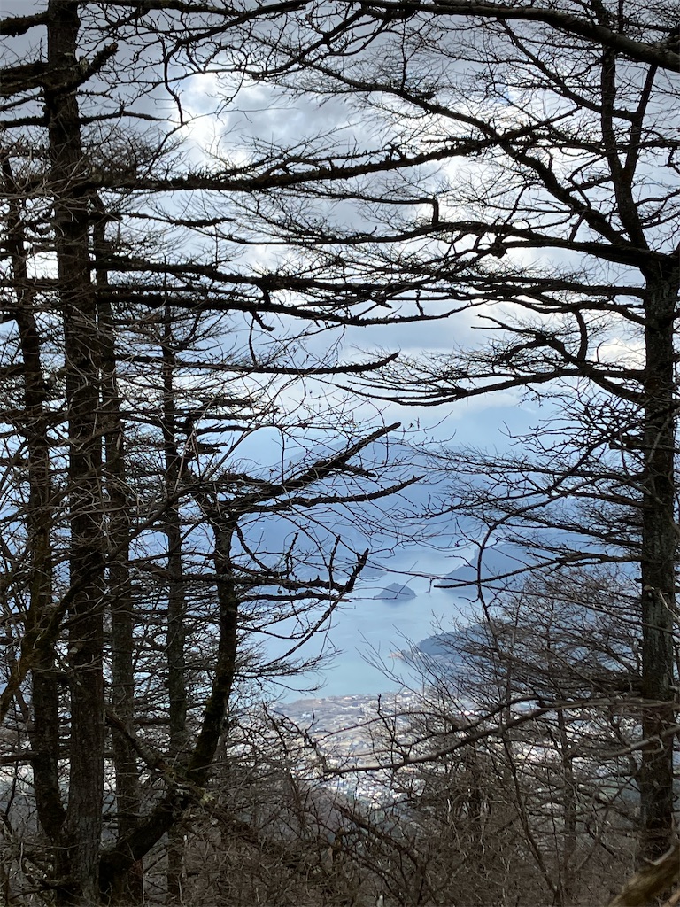 f:id:amefuri5kumanoko:20230323005940j:image f:id:amefuri5kumanoko:20230323005940j:image