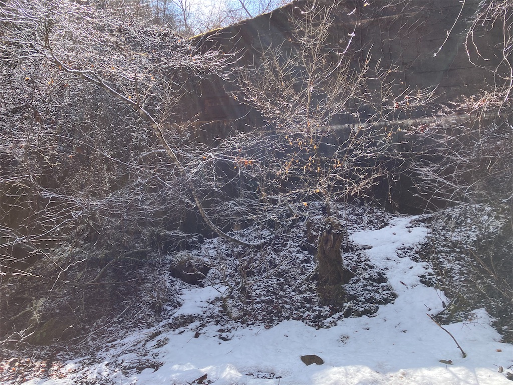 f:id:amefuri5kumanoko:20230323010002j:image f:id:amefuri5kumanoko:20230323010002j:image