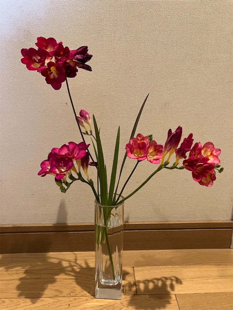 f:id:amefuri5kumanoko:20230411084828j:image f:id:amefuri5kumanoko:20230411084828j:image
