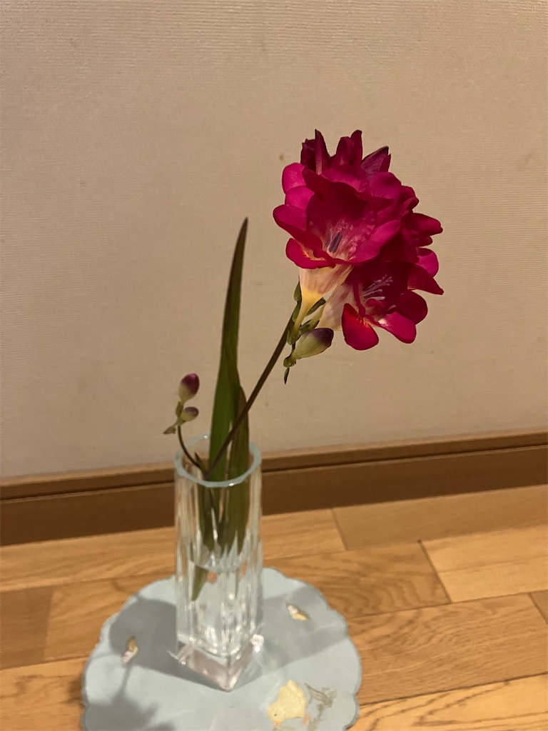 f:id:amefuri5kumanoko:20230411084831j:image f:id:amefuri5kumanoko:20230411084831j:image