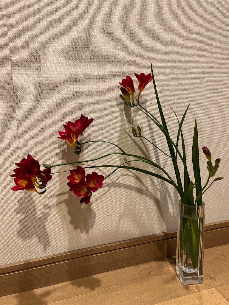 f:id:amefuri5kumanoko:20230411084845j:image f:id:amefuri5kumanoko:20230411084845j:image