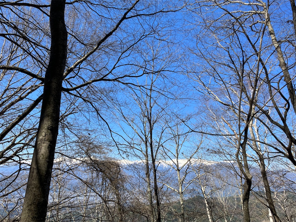 f:id:amefuri5kumanoko:20230421190325j:image