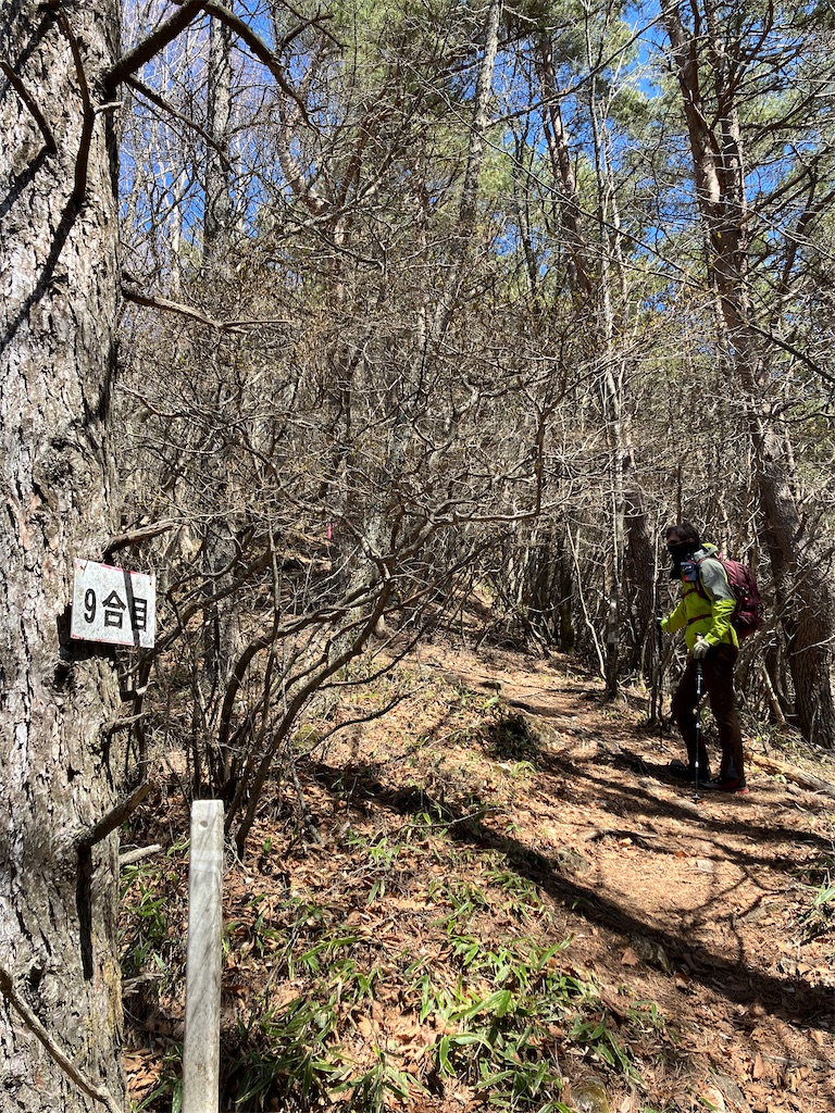 f:id:amefuri5kumanoko:20230421190345j:image