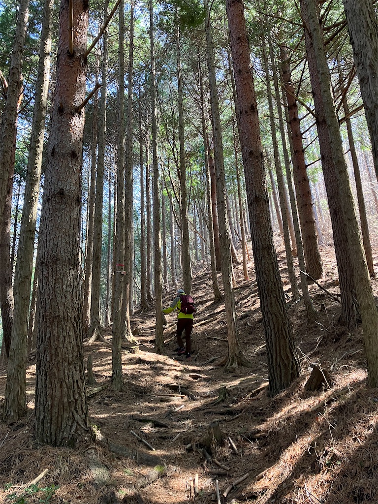 f:id:amefuri5kumanoko:20230421190350j:image