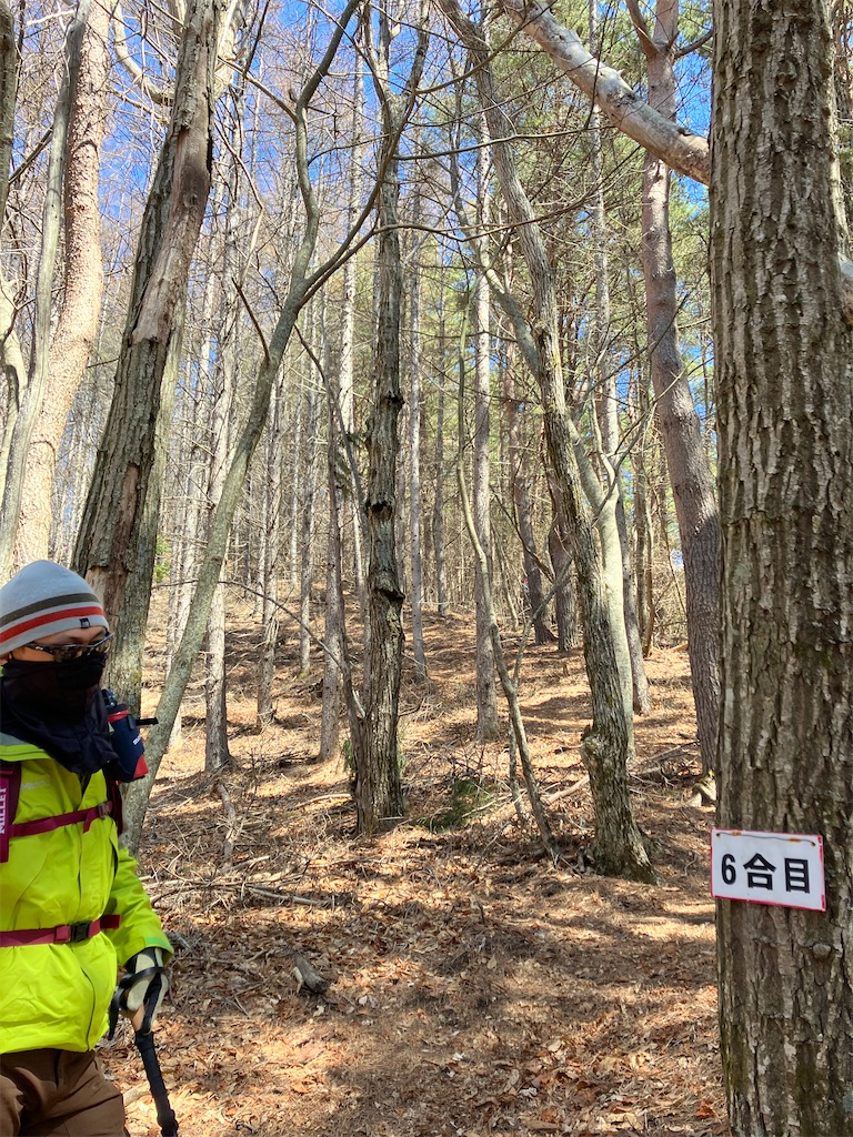 f:id:amefuri5kumanoko:20230421190435j:image