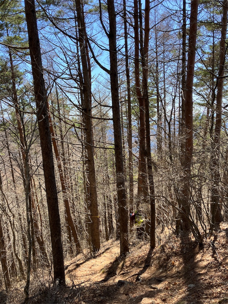 f:id:amefuri5kumanoko:20230421190501j:image