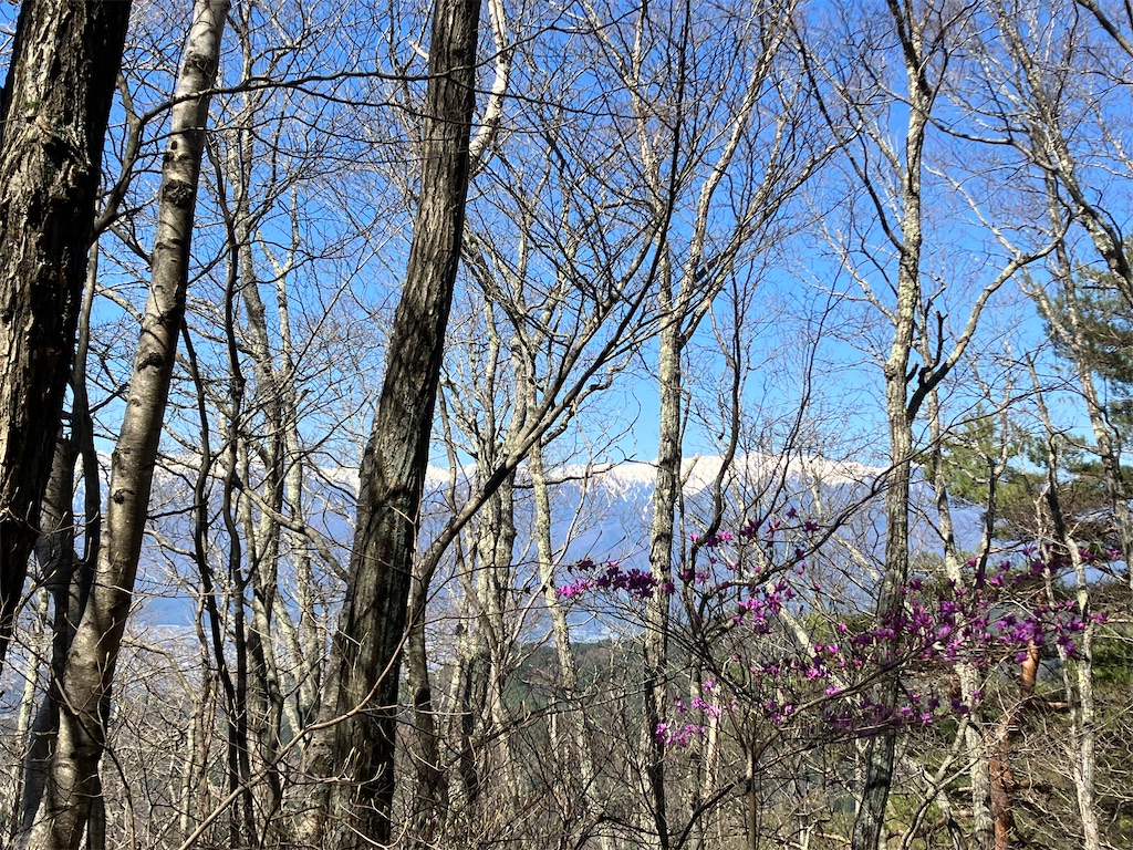 f:id:amefuri5kumanoko:20230421190504j:image