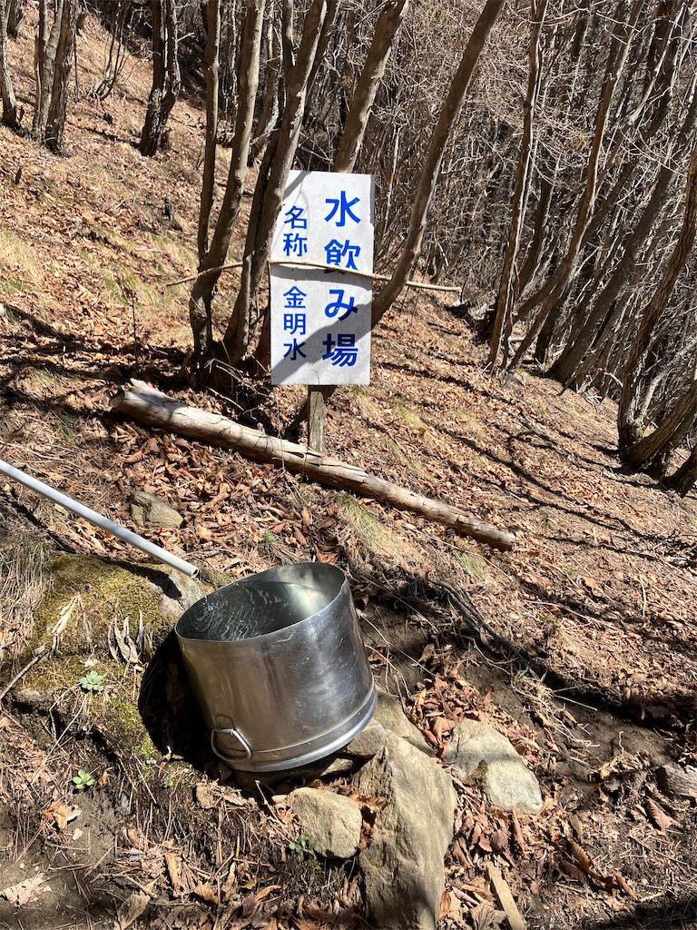 f:id:amefuri5kumanoko:20230421190508j:image