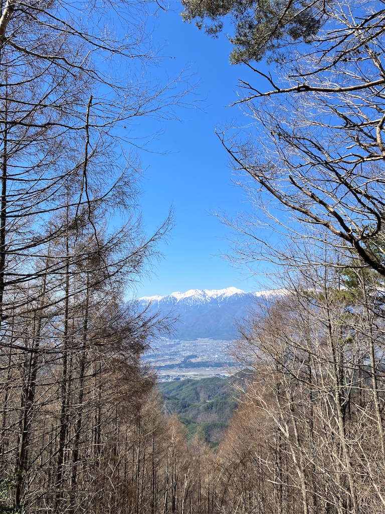 f:id:amefuri5kumanoko:20230421190555j:image