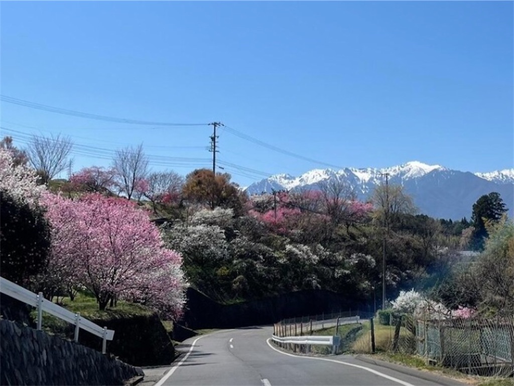 f:id:amefuri5kumanoko:20230423211843j:image