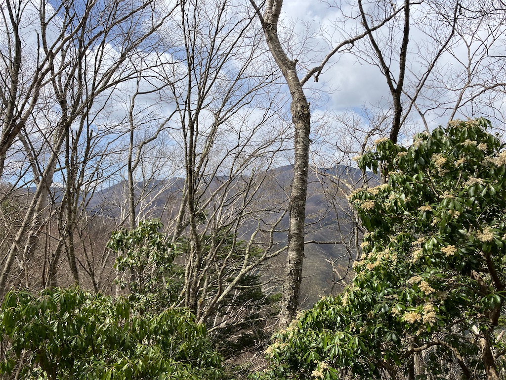 f:id:amefuri5kumanoko:20230425120907j:image