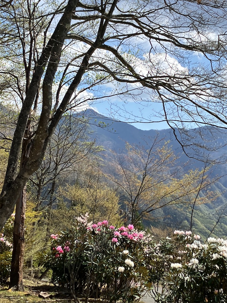 f:id:amefuri5kumanoko:20230425120920j:image