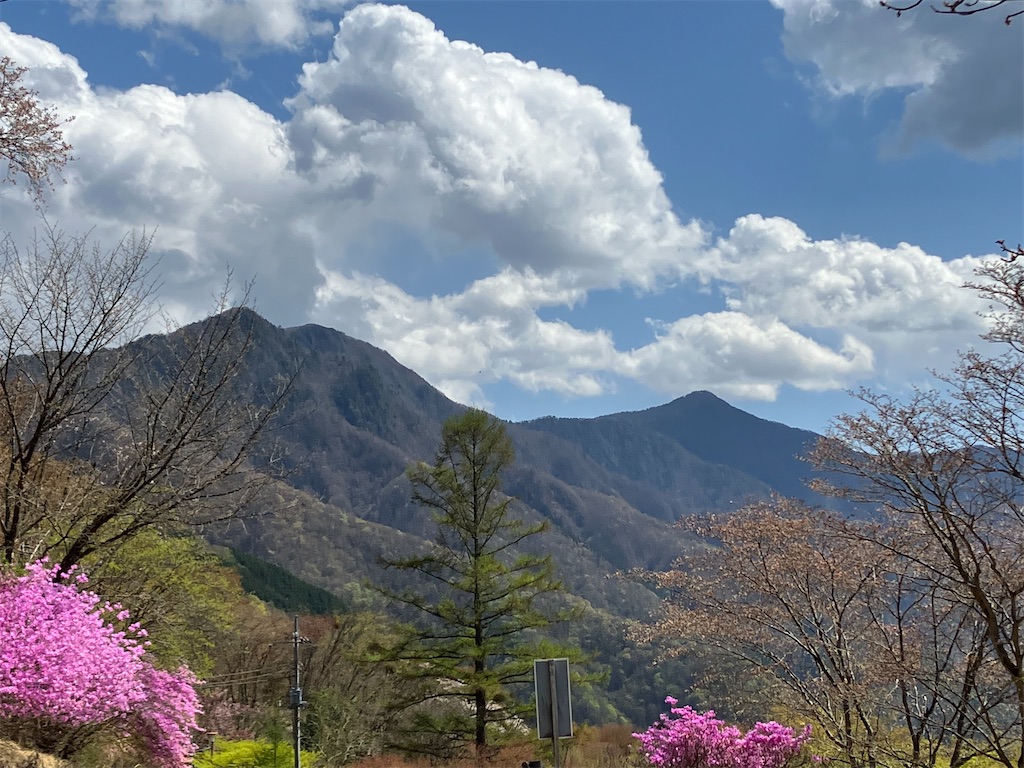 f:id:amefuri5kumanoko:20230425120957j:image