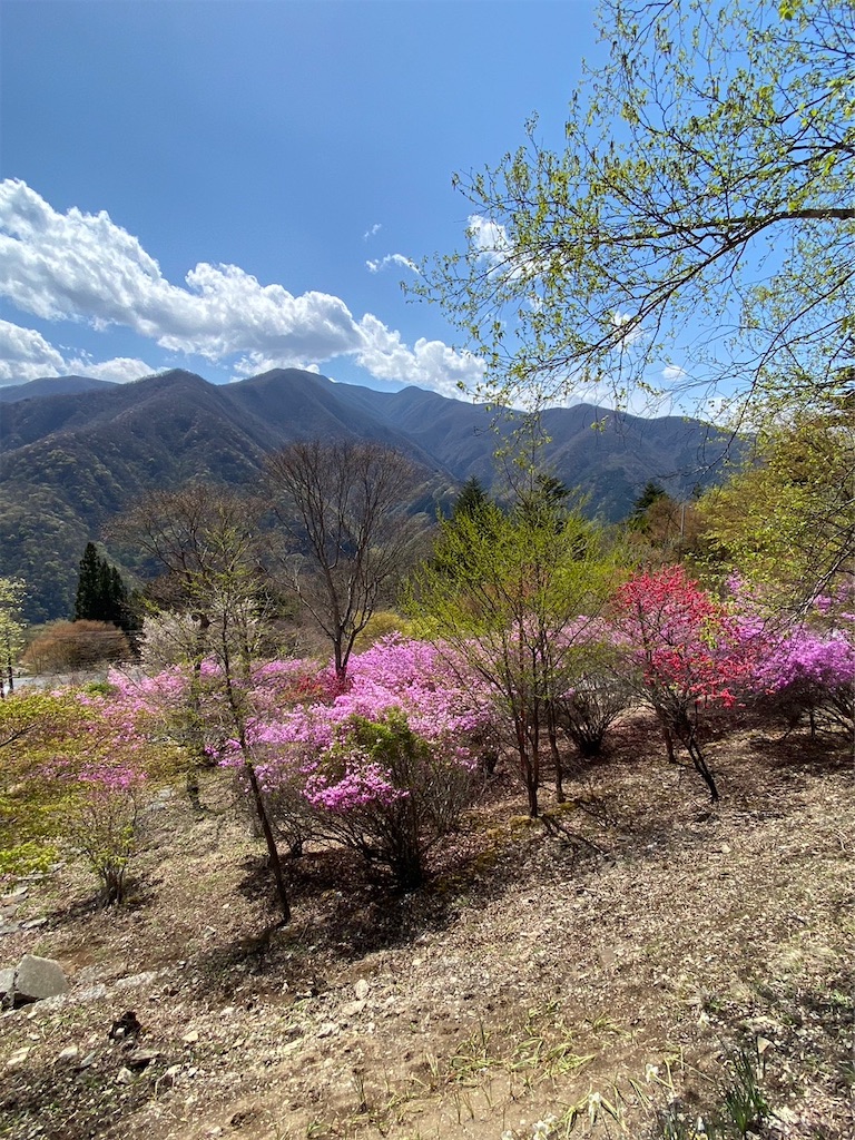 f:id:amefuri5kumanoko:20230425121022j:image