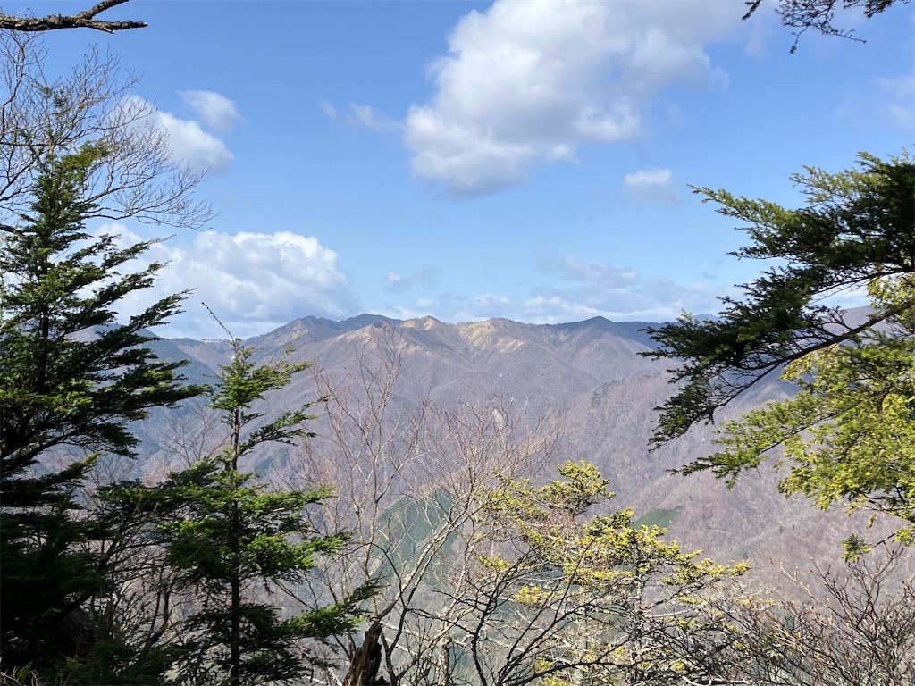 f:id:amefuri5kumanoko:20230425121055j:image