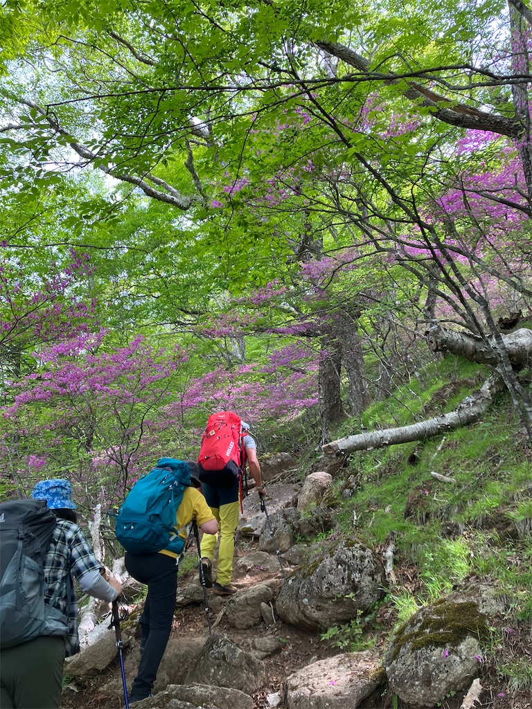 f:id:amefuri5kumanoko:20230529224300j:image