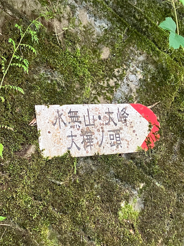 f:id:amefuri5kumanoko:20230529224326j:image