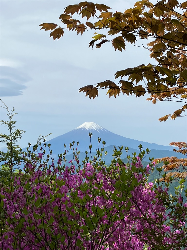 f:id:amefuri5kumanoko:20230529224332j:image