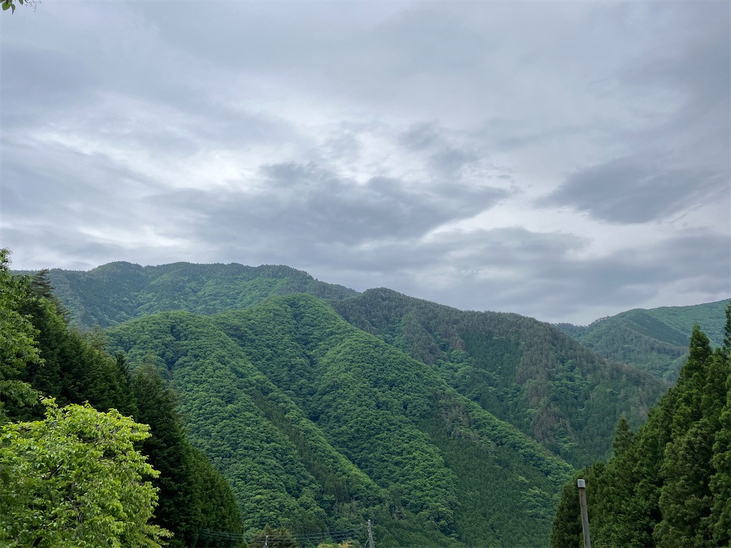 f:id:amefuri5kumanoko:20230529224341j:image