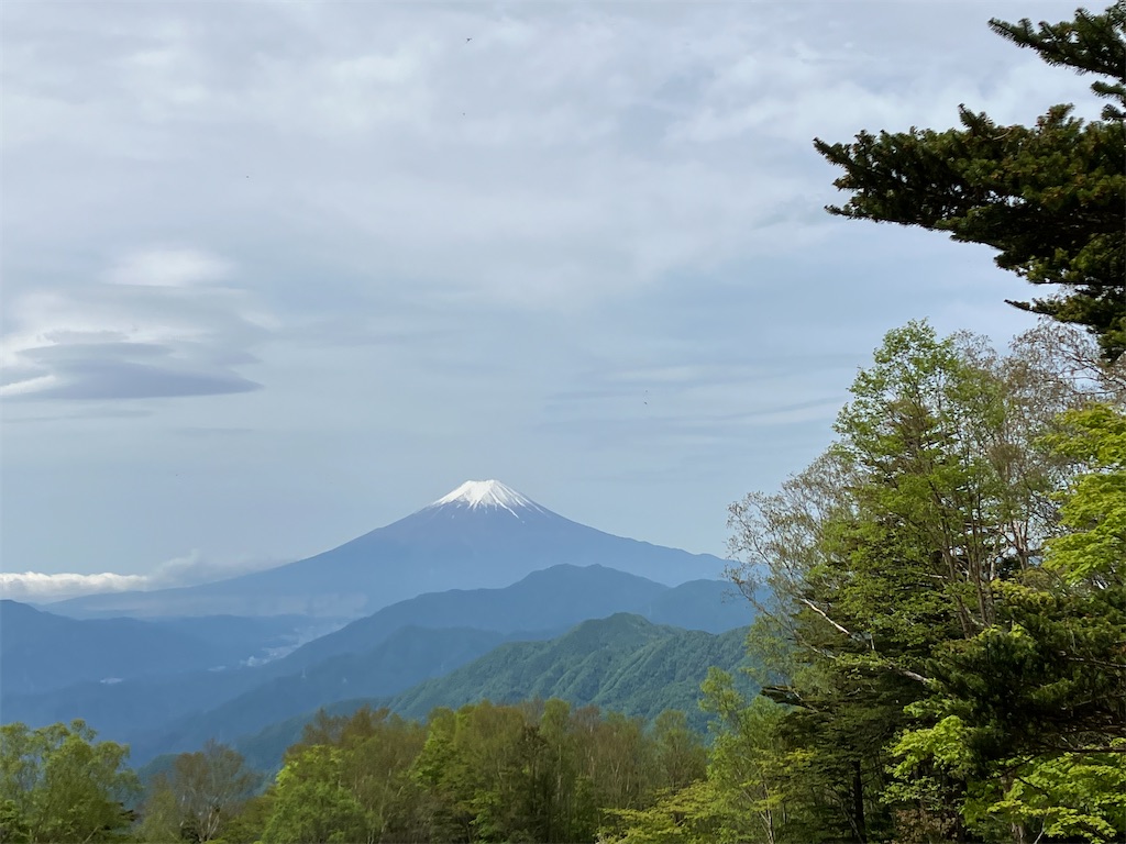 f:id:amefuri5kumanoko:20230529224421j:image