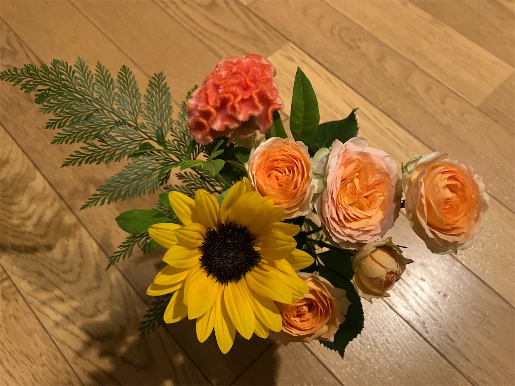 f:id:amefuri5kumanoko:20230729061836j:image f:id:amefuri5kumanoko:20230729061836j:image