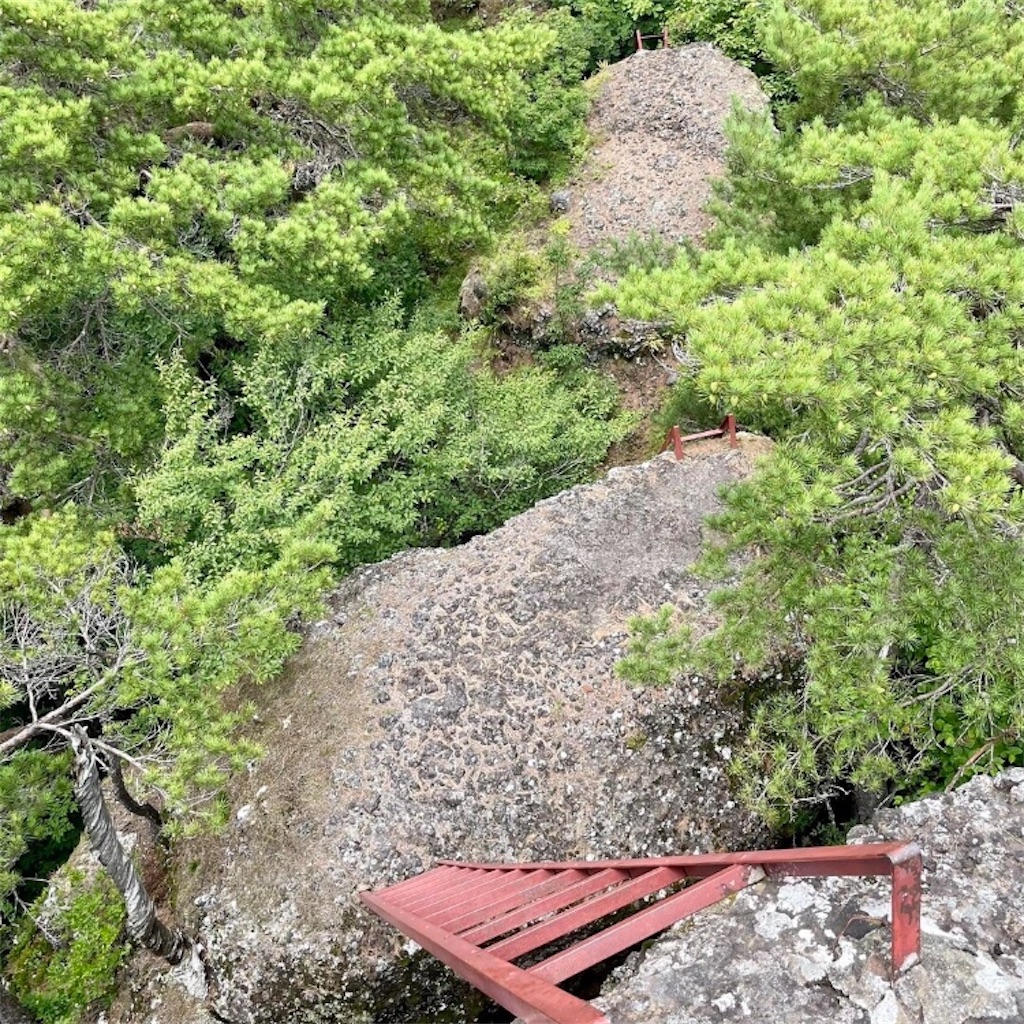 f:id:amefuri5kumanoko:20230826093120j:image
