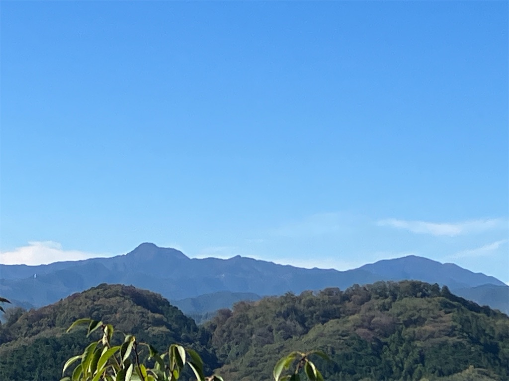 f:id:amefuri5kumanoko:20231026042114j:image f:id:amefuri5kumanoko:20231026042114j:image