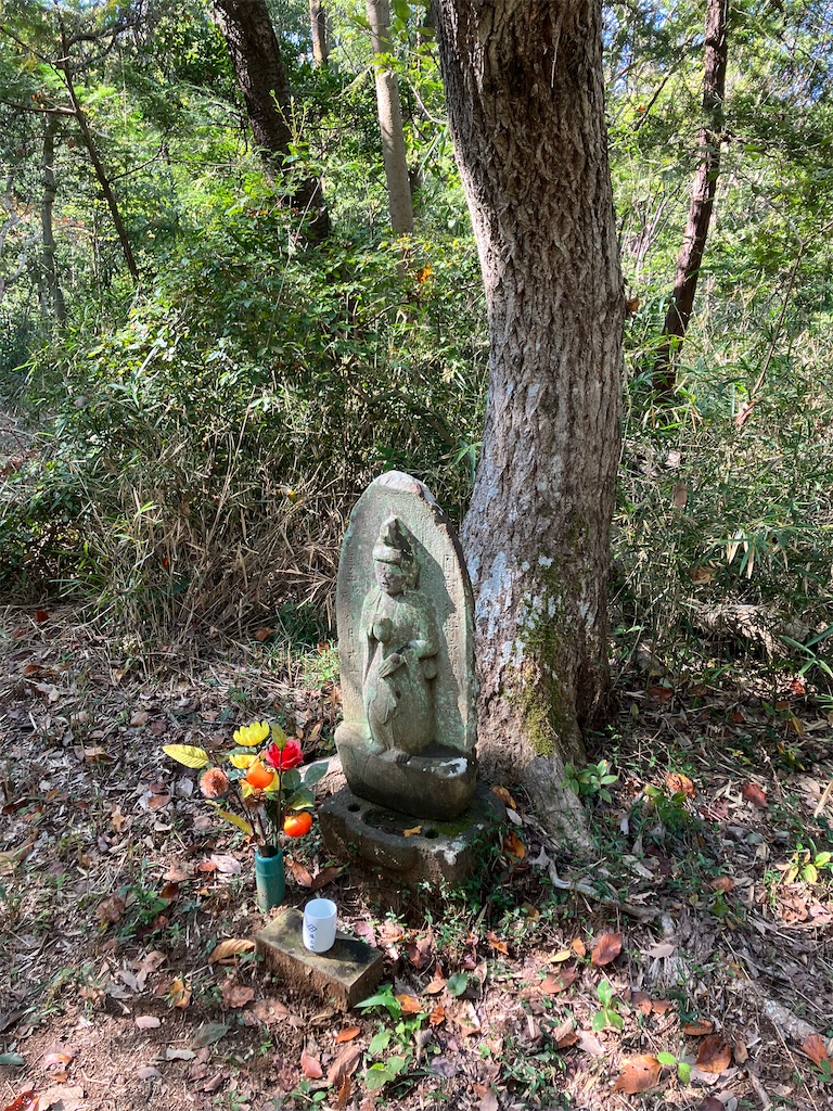 f:id:amefuri5kumanoko:20231026042133j:image f:id:amefuri5kumanoko:20231026042133j:image