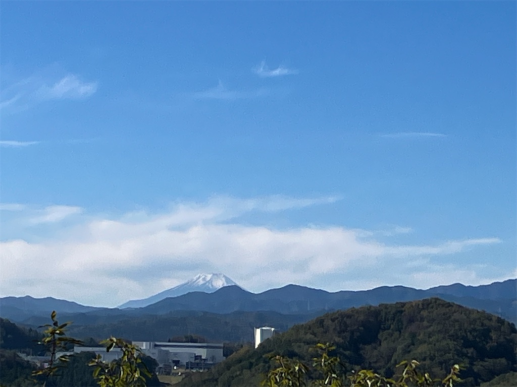 f:id:amefuri5kumanoko:20231026042137j:image f:id:amefuri5kumanoko:20231026042137j:image