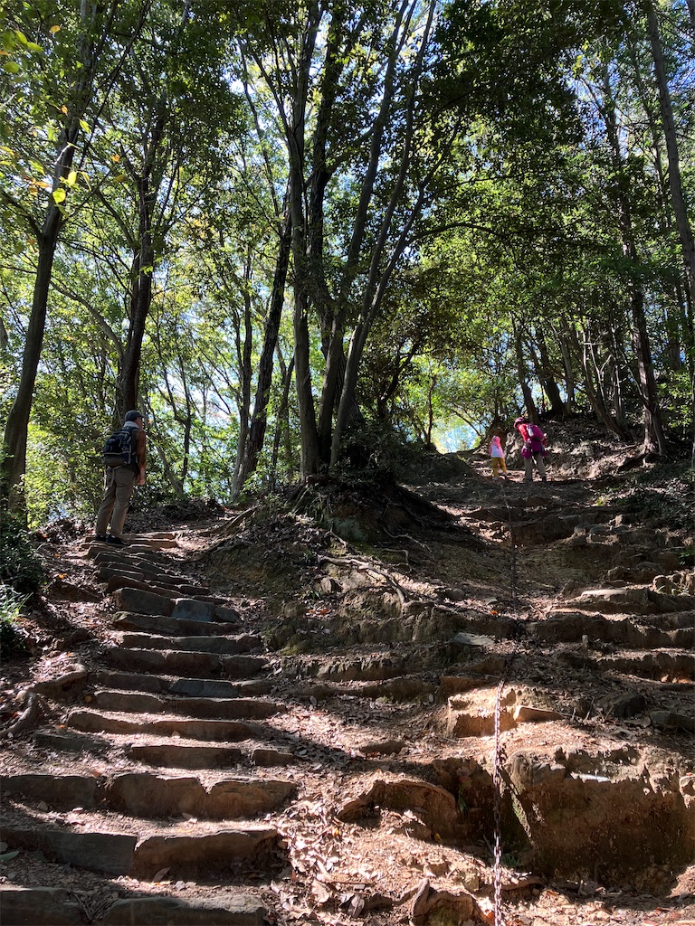 f:id:amefuri5kumanoko:20231026042153j:image f:id:amefuri5kumanoko:20231026042153j:image