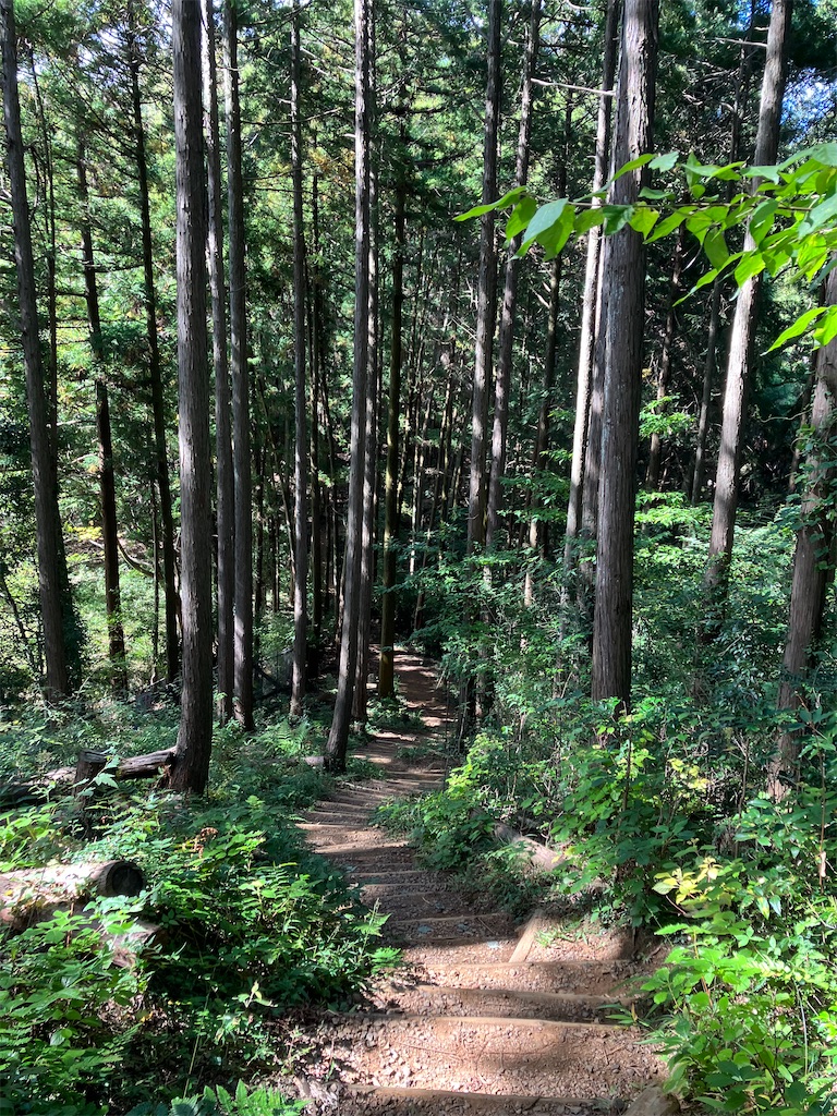 f:id:amefuri5kumanoko:20231026042219j:image f:id:amefuri5kumanoko:20231026042219j:image