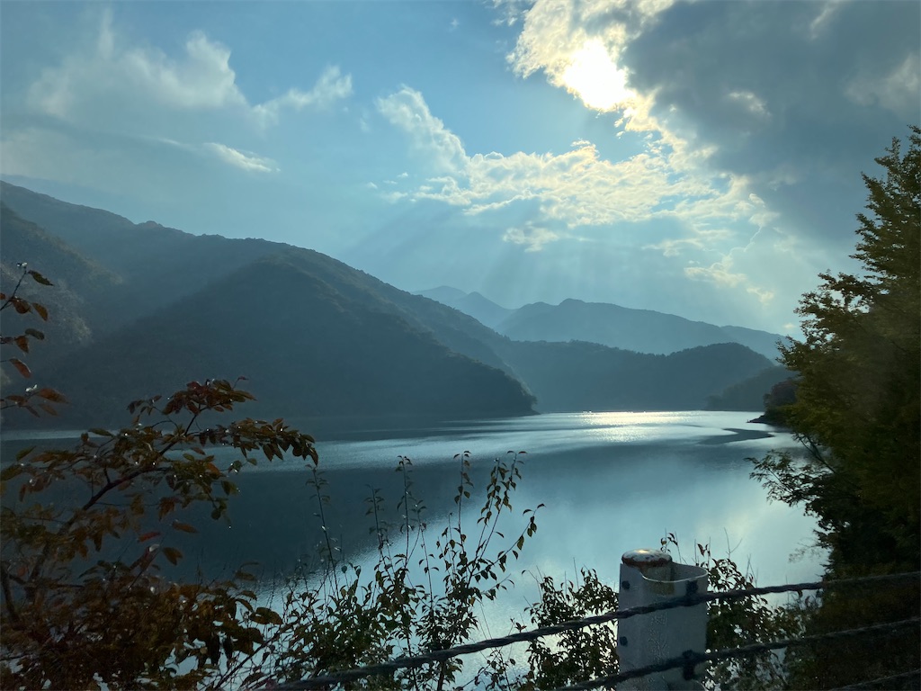 f:id:amefuri5kumanoko:20231105204131j:image