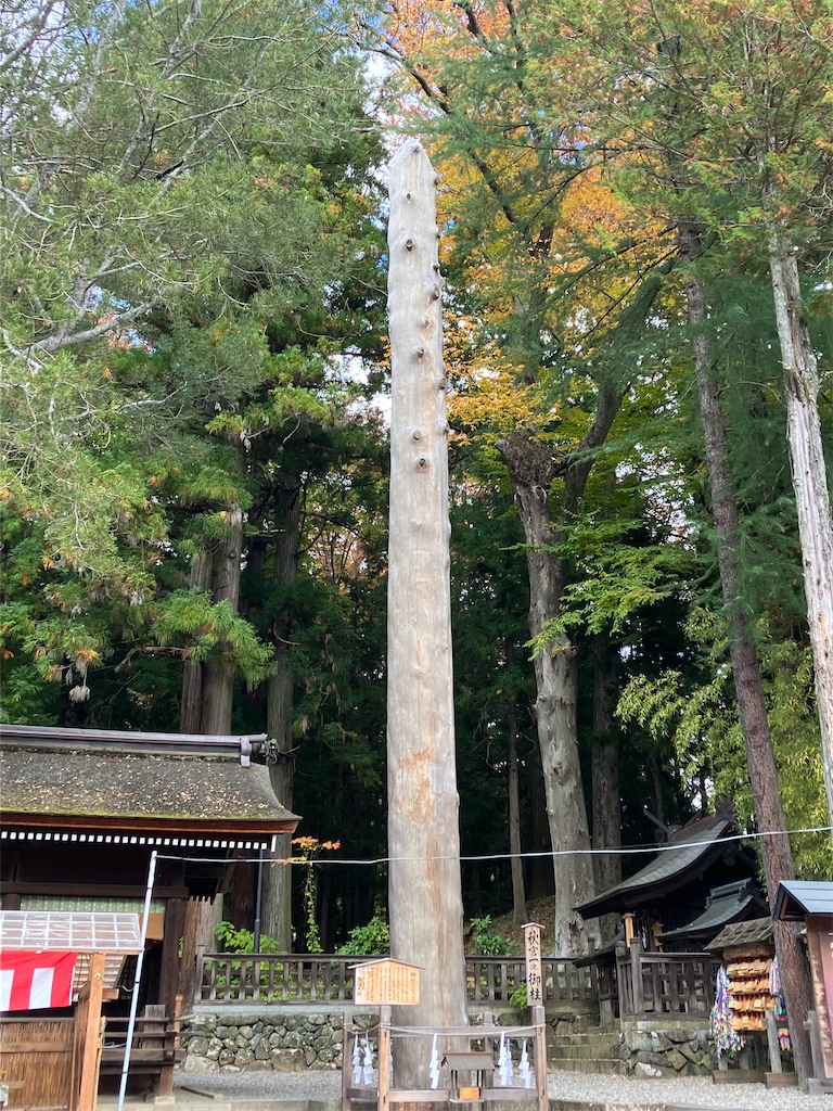 f:id:amefuri5kumanoko:20231105204200j:image