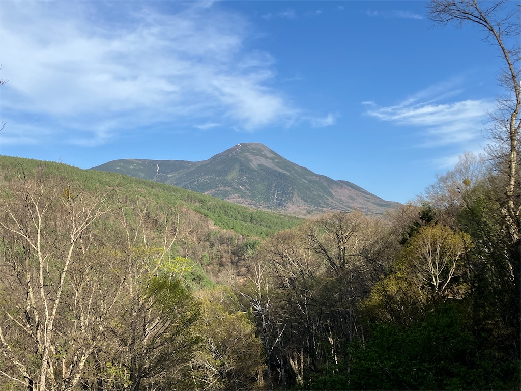 f:id:amefuri5kumanoko:20240513112350j:image