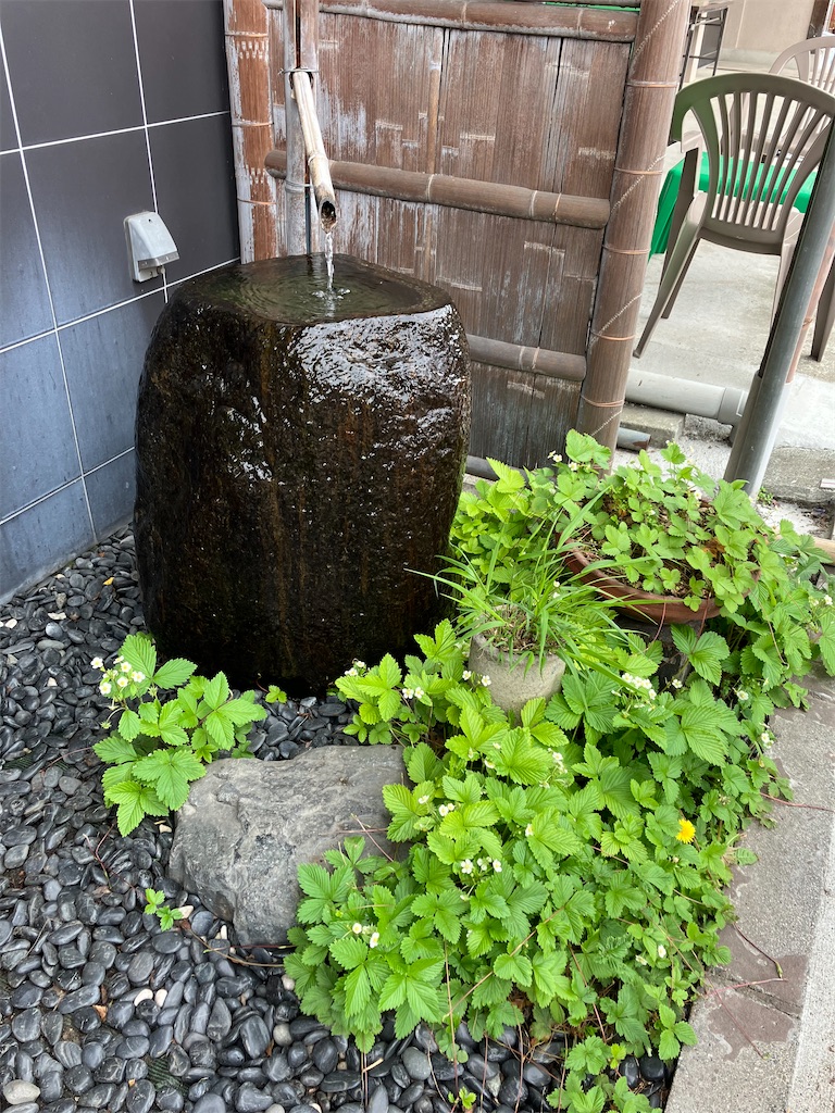 f:id:amefuri5kumanoko:20240519171204j:image
