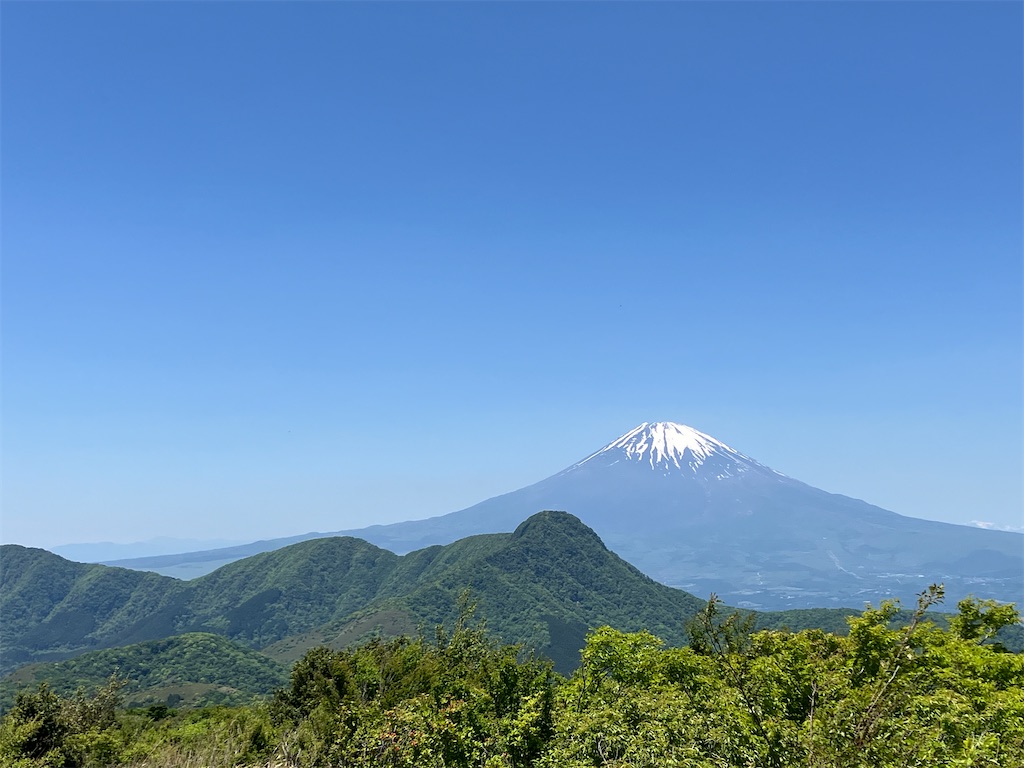 f:id:amefuri5kumanoko:20240520182013j:image