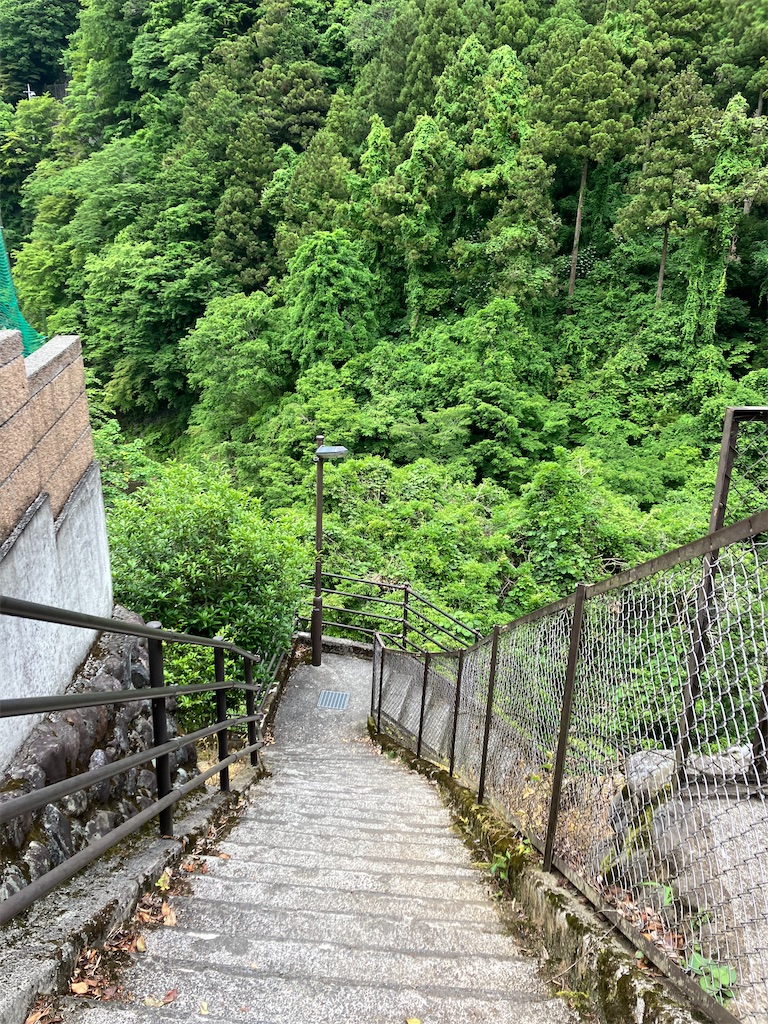 f:id:amefuri5kumanoko:20240603131001j:image