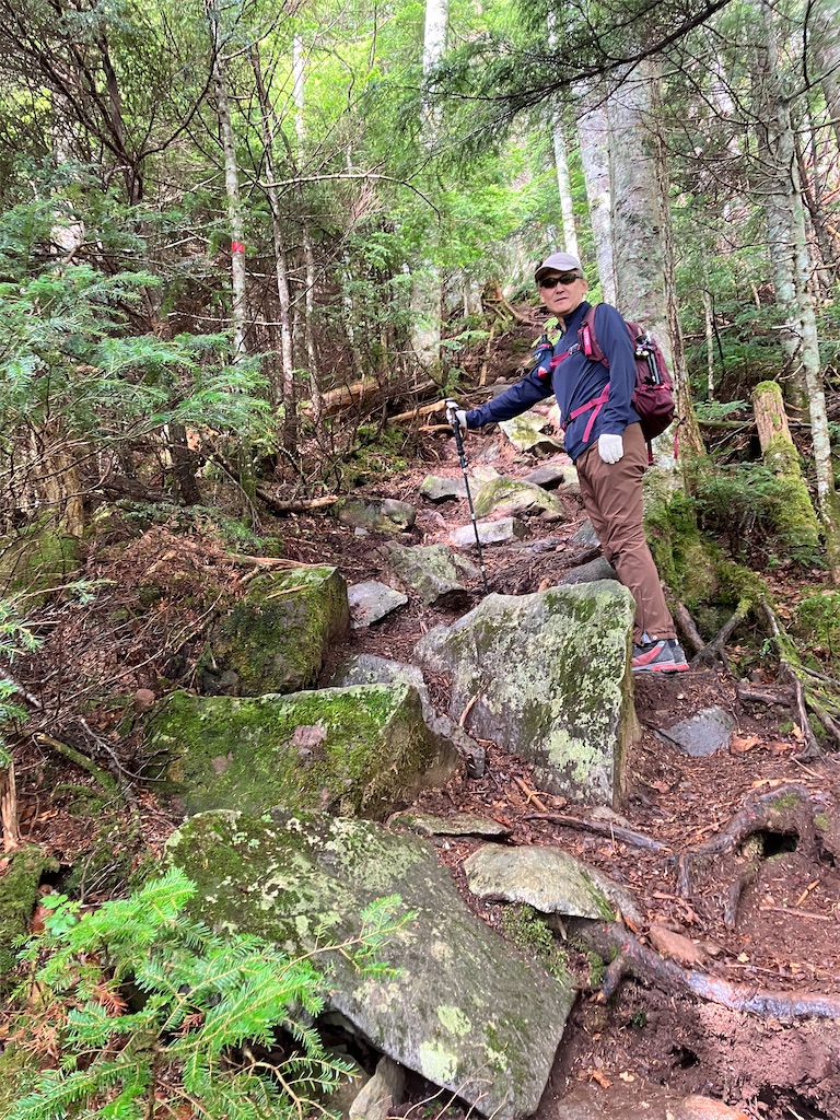 f:id:amefuri5kumanoko:20240618195755j:image