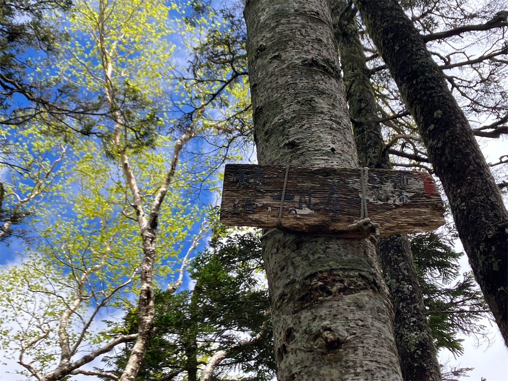 f:id:amefuri5kumanoko:20240618195802j:image