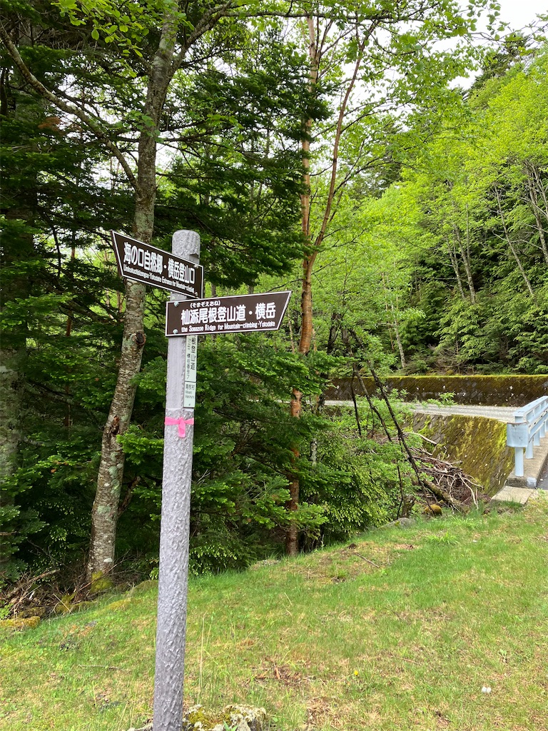 f:id:amefuri5kumanoko:20240618195825j:image