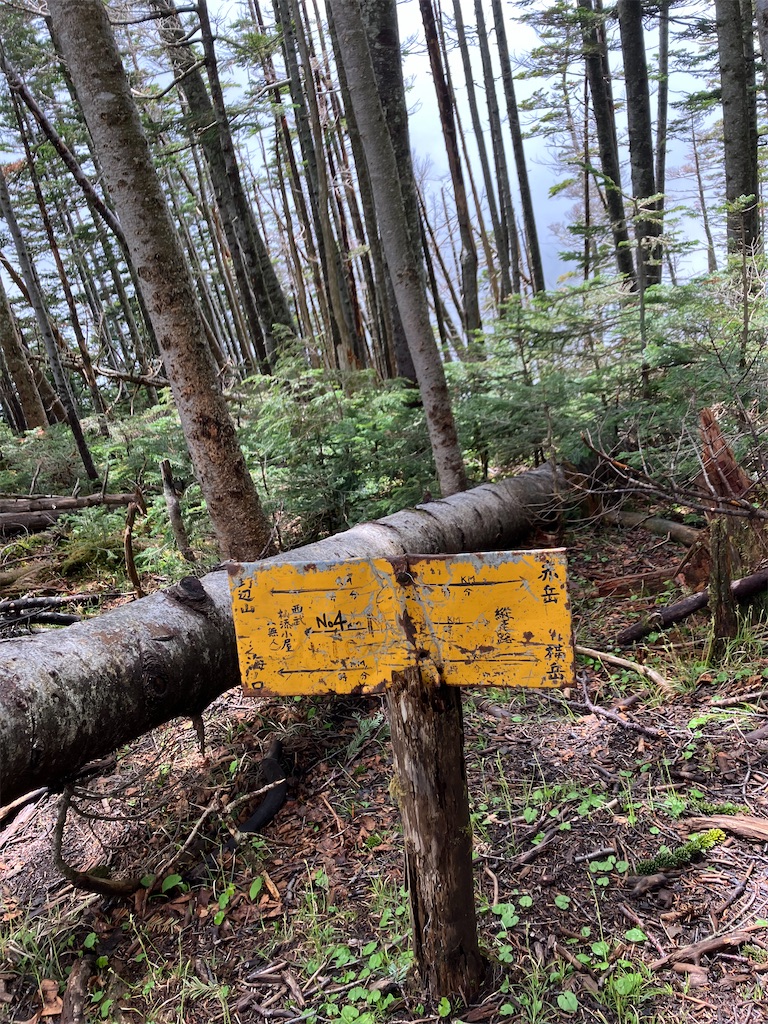 f:id:amefuri5kumanoko:20240618195836j:image