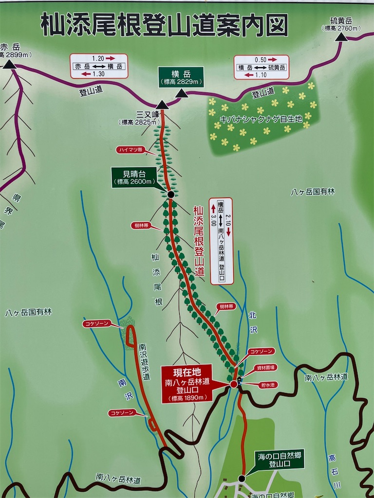 f:id:amefuri5kumanoko:20240618195848j:image