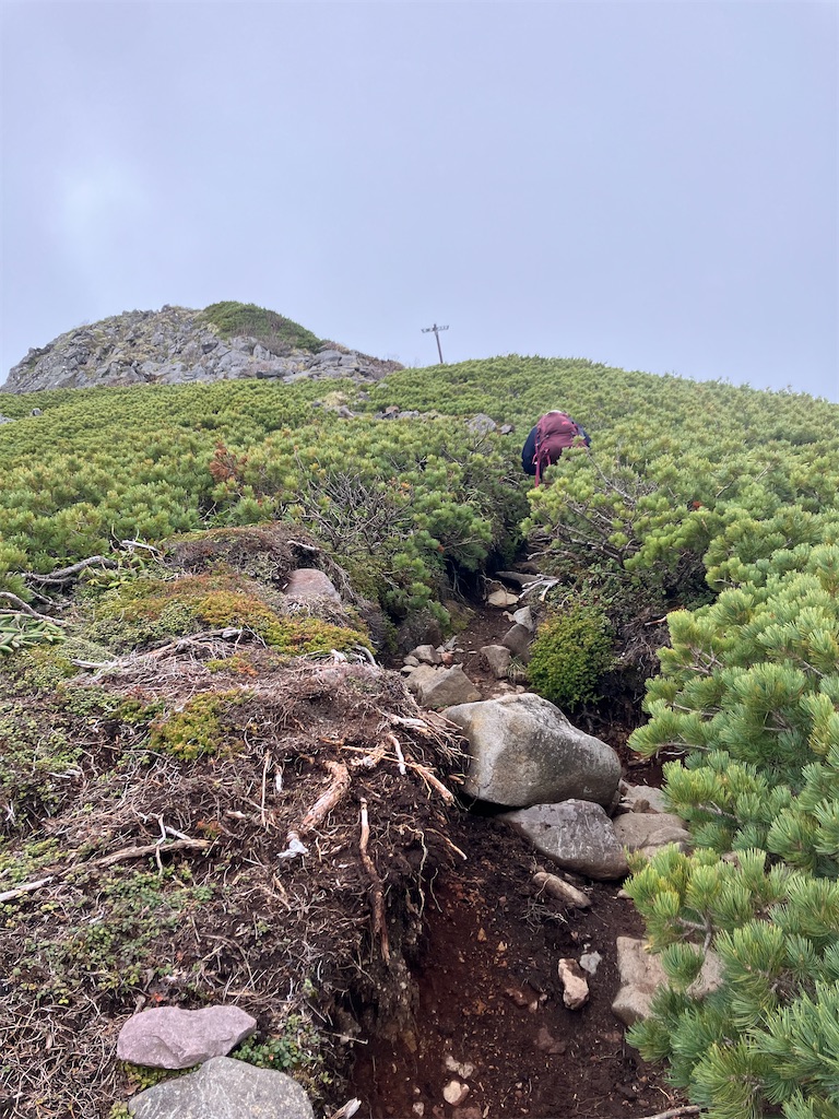 f:id:amefuri5kumanoko:20240618200539j:image